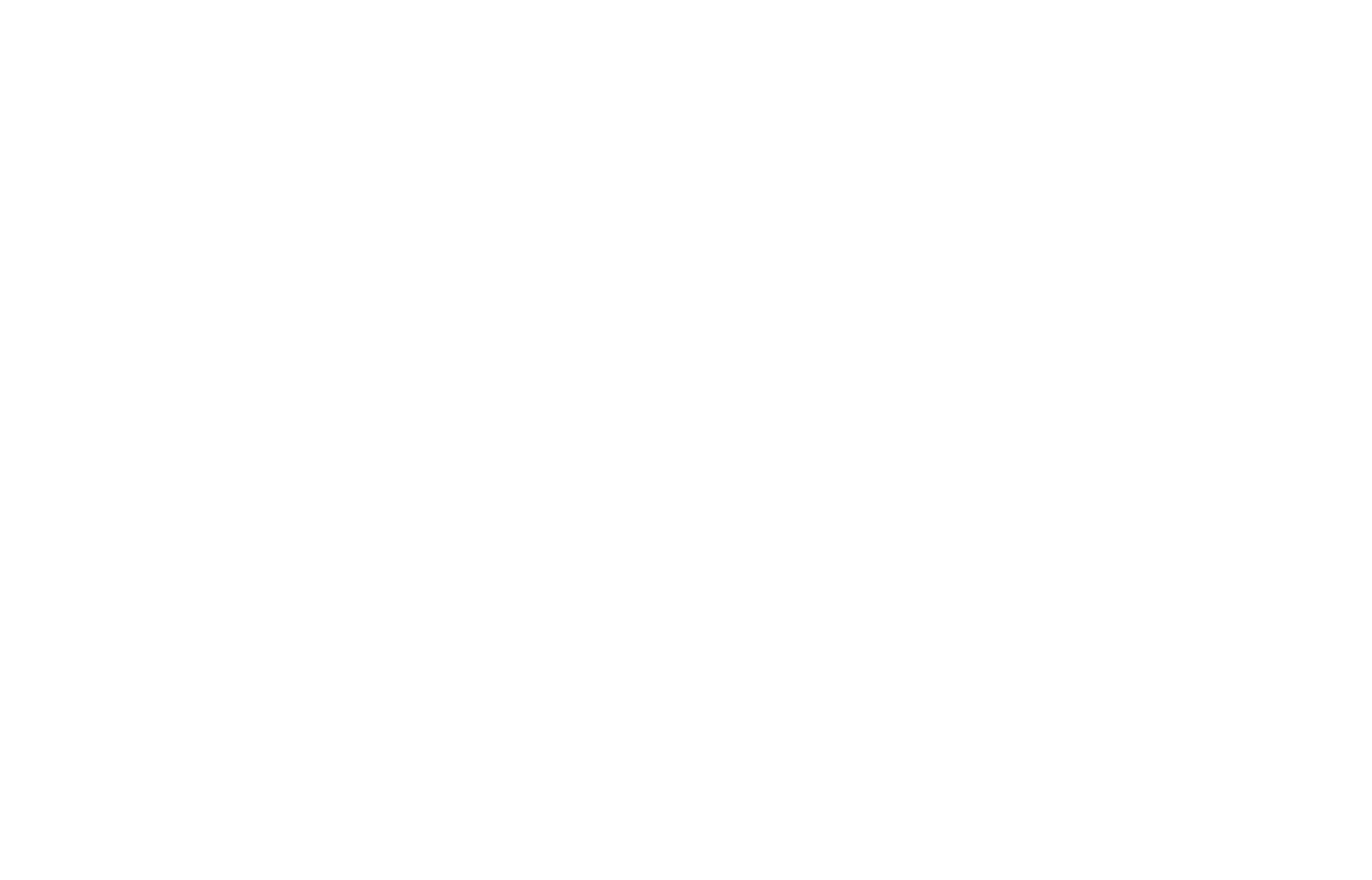 Lubbock Impact Inc.