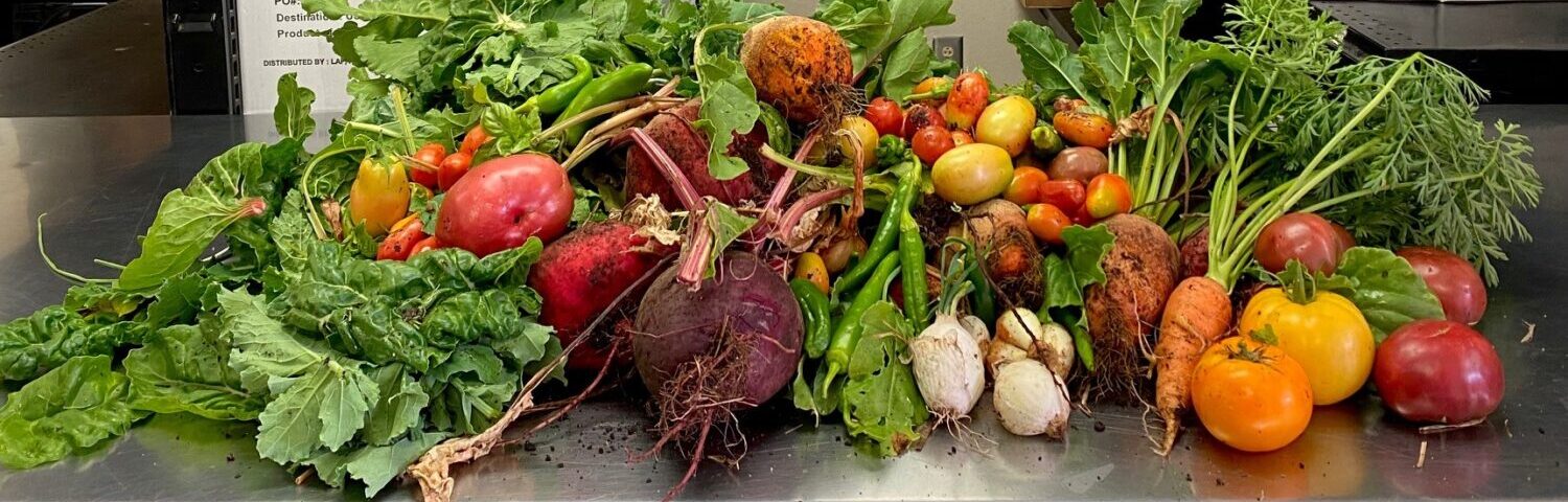 Rio Grande Food Project, photo 1