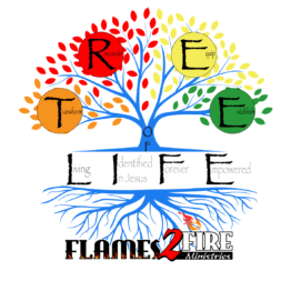 Flames 2 Fire