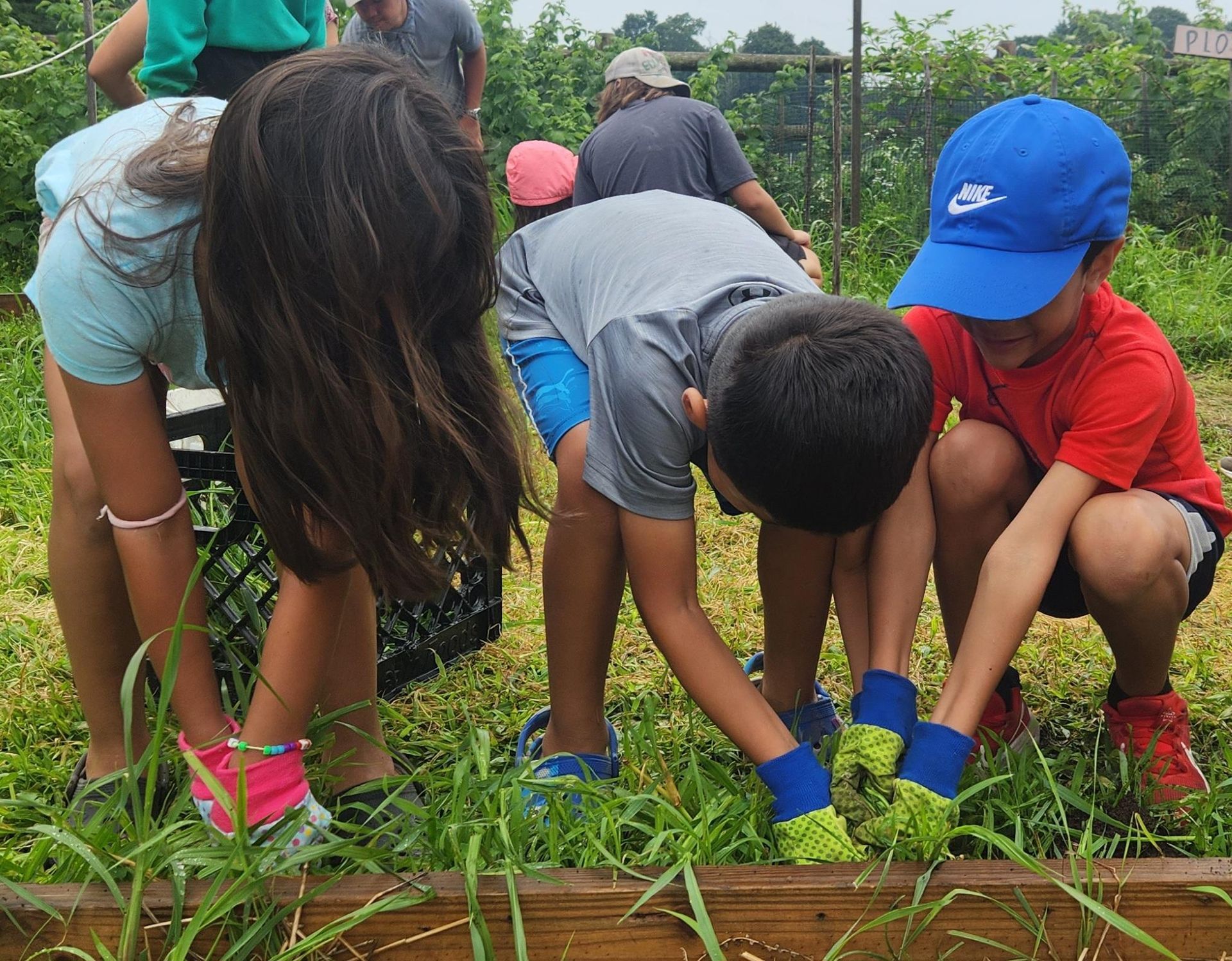 Waltham Fields Community Farm