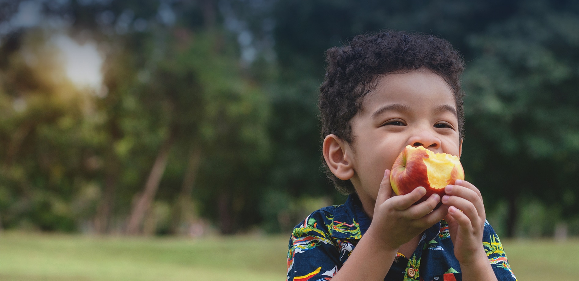 Greater Washington County Food Bank