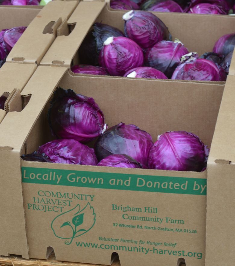 Community Harvest Food Bank