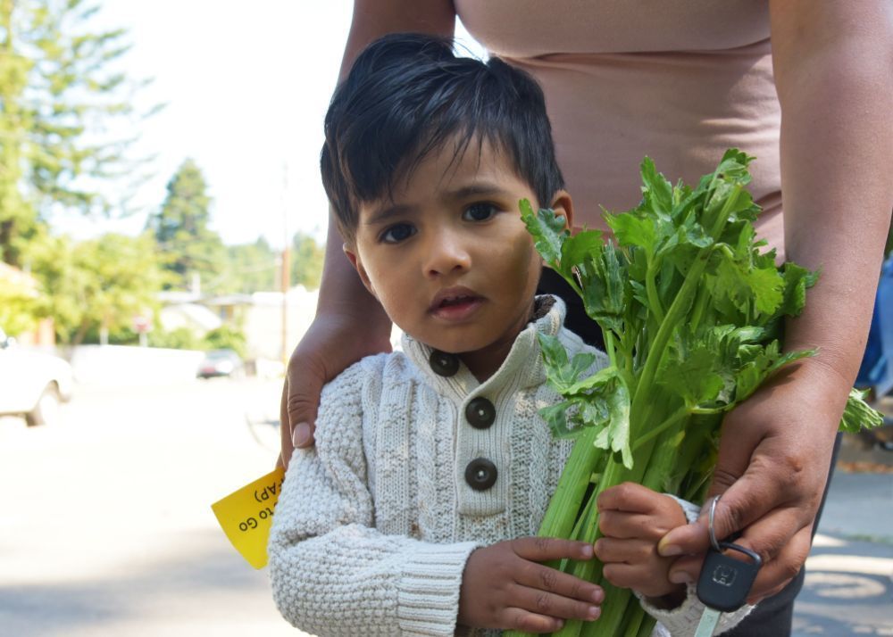 Redwood Empire Food Bank, photo 4