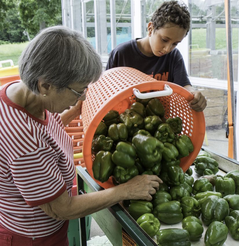 Community Harvest Food Bank