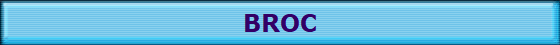 BROC: Wilkes Community Action Food Pantry