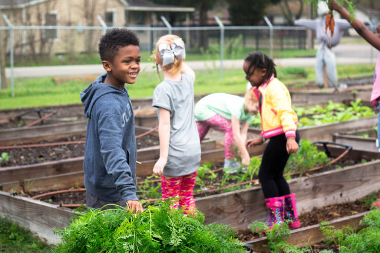 Target Hunger - Food Distribution