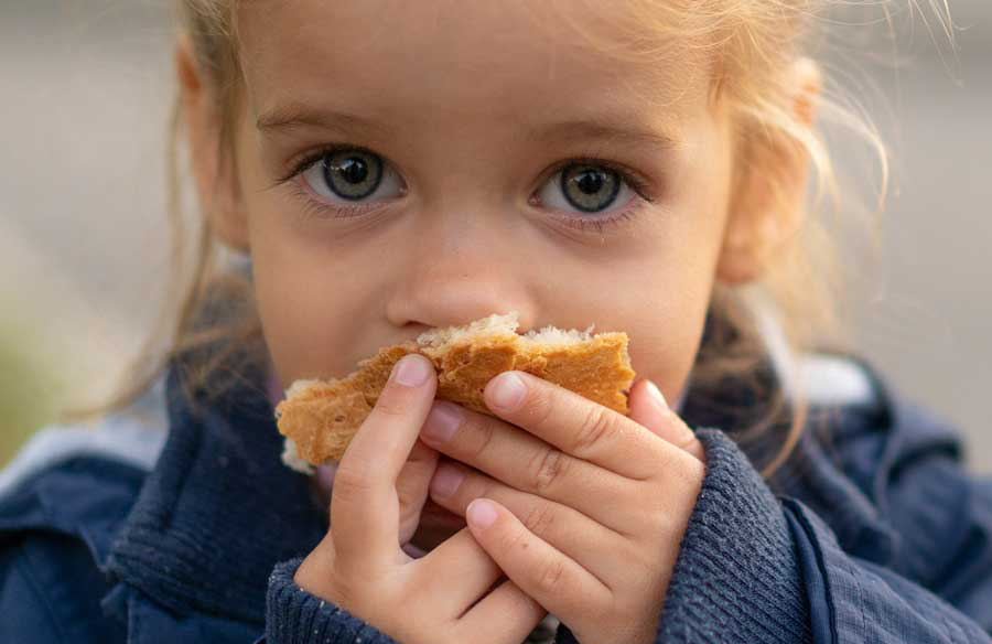 Regional Food Bank Of N E Ny Inc