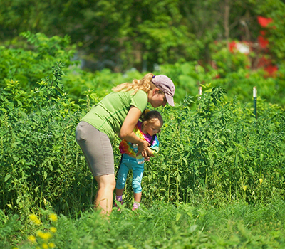 The Hunger Task Force of La Crosse, photo 2