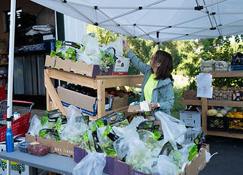 First Parish Newbury Food Pantry