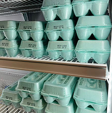 Food Pantry Ministry at White Drive Baptist Church, photo 3
