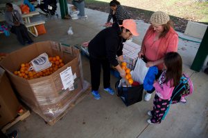 FeedMore WNY, photo 3