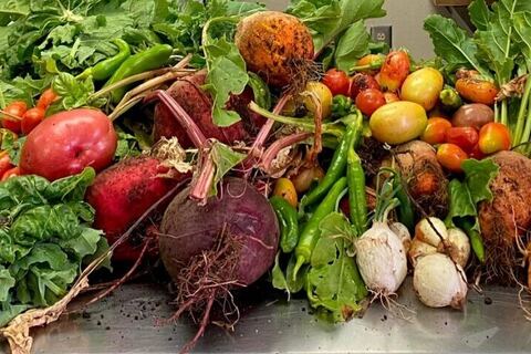 Rio Grande Food Project